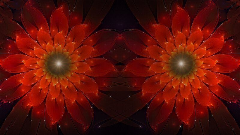 Symmetrical Red Flowers — Dramatic