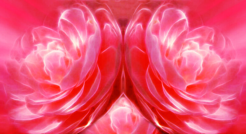 Symmetrical Red Flowers