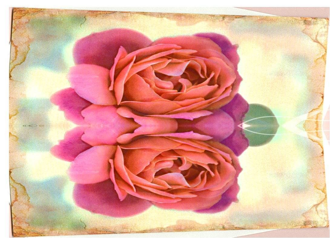 Symmetrical rose artwork