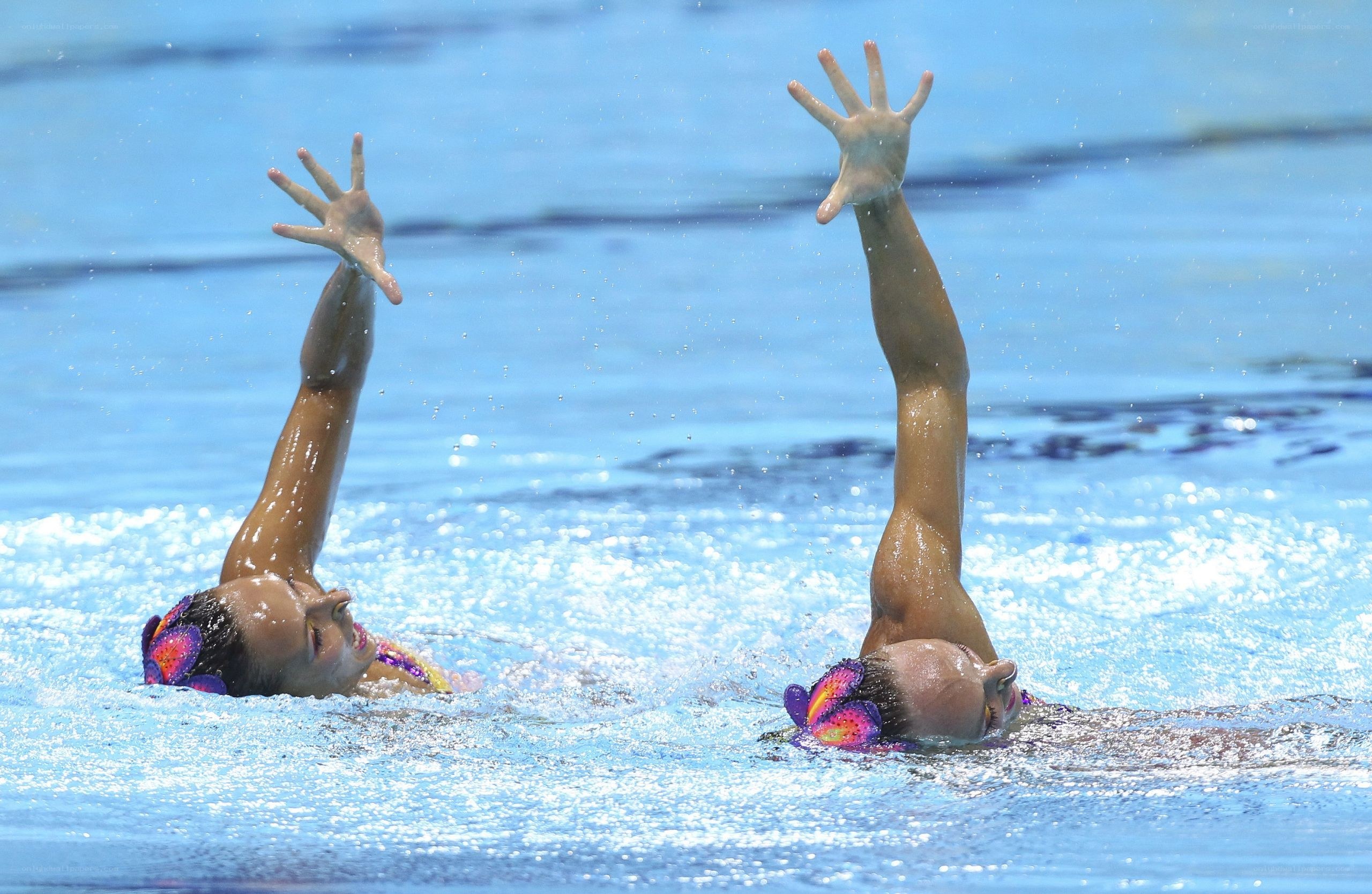 synchronized swimmers in action