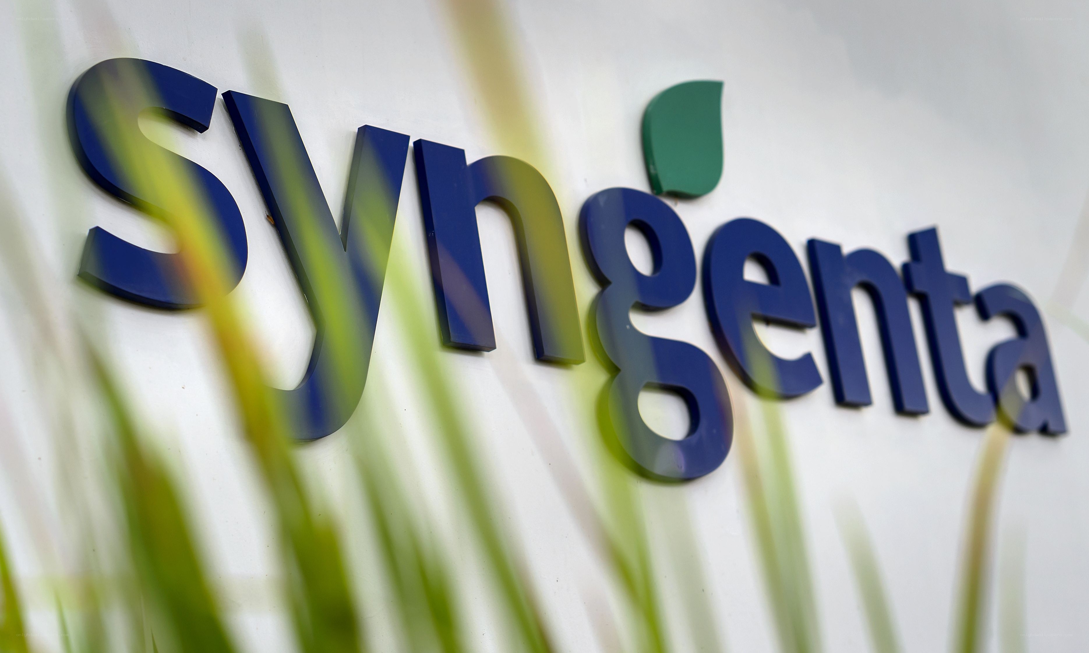 Syngenta logo sign