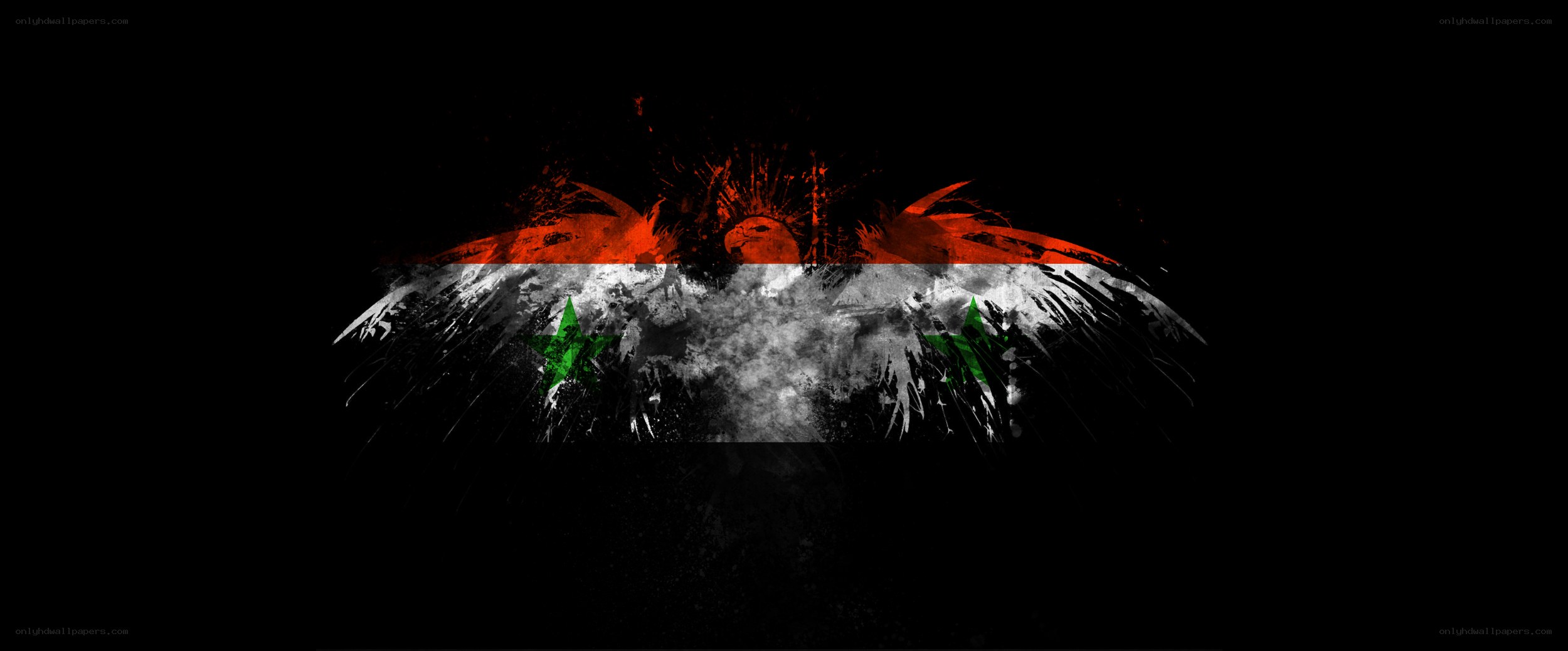 Syrian flag with eagle design