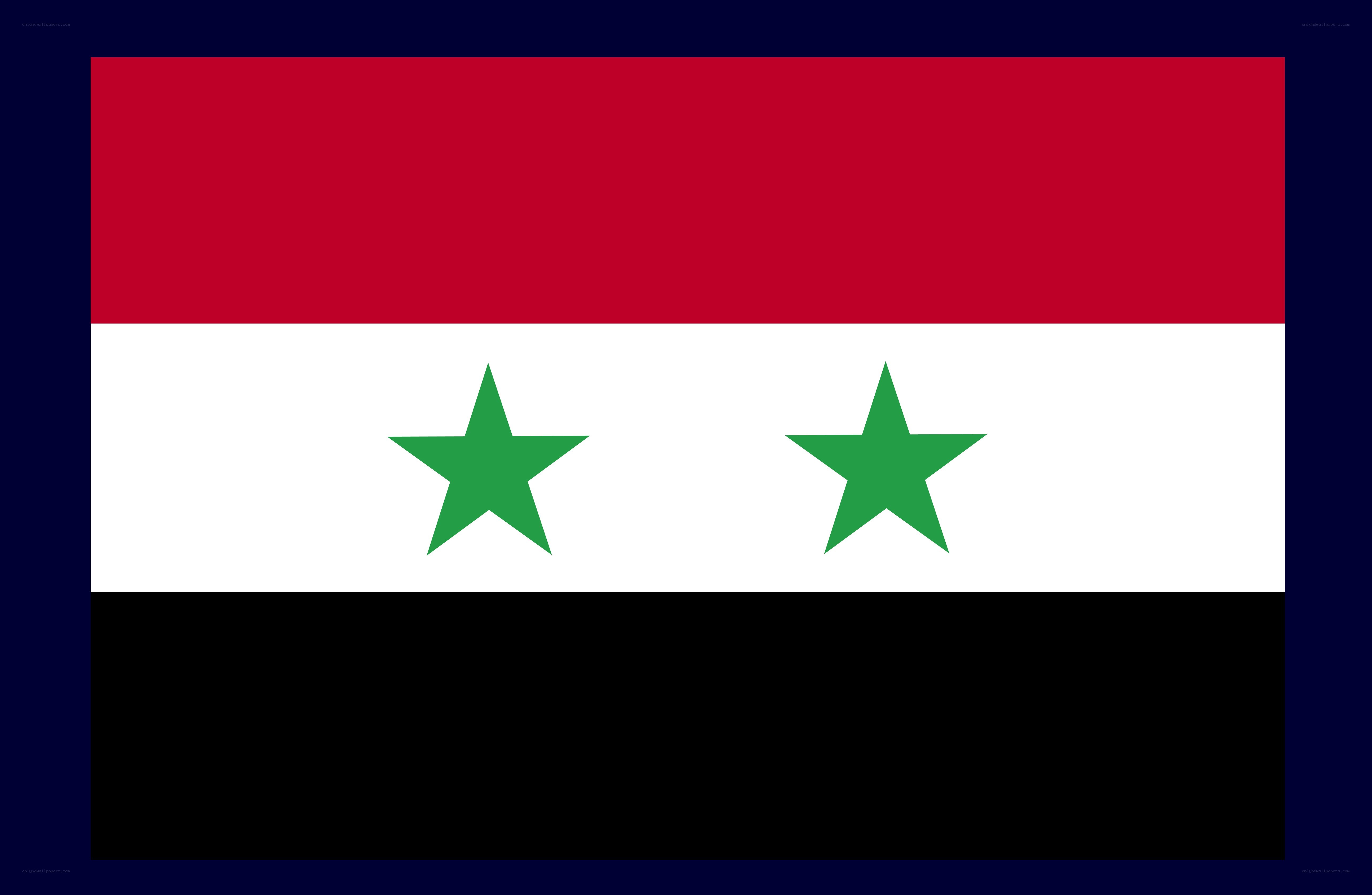Syrian flag with stars