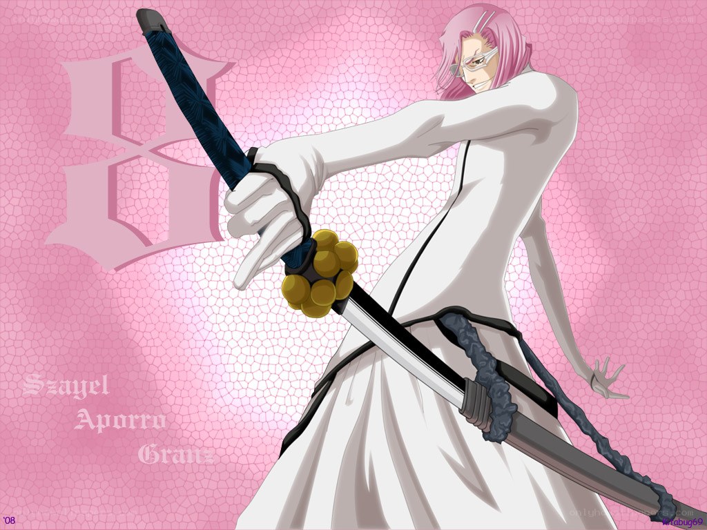 Szayelaporro with sword