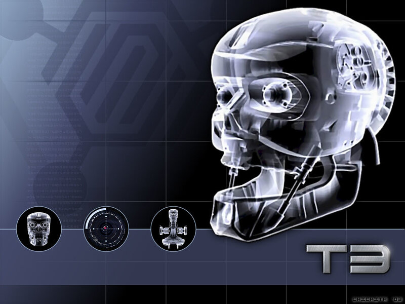T-800 Endoskeleton X-ray