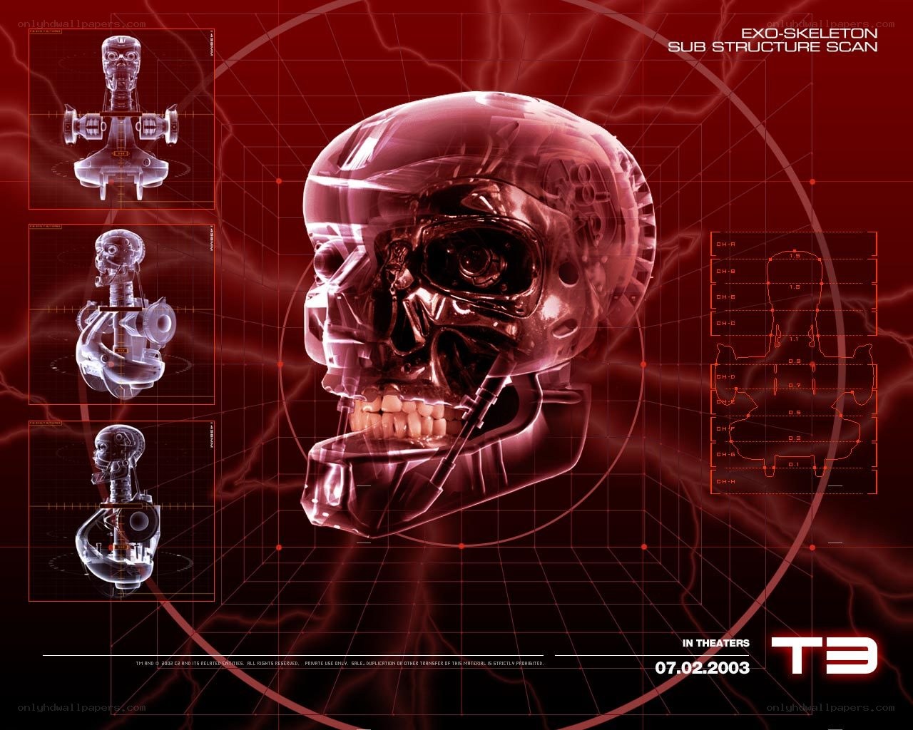 T-800 Exo-Skeleton Scan