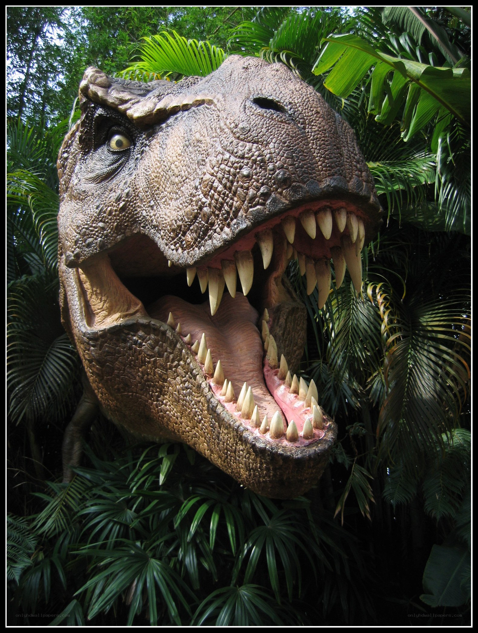 T-Rex head in jungle