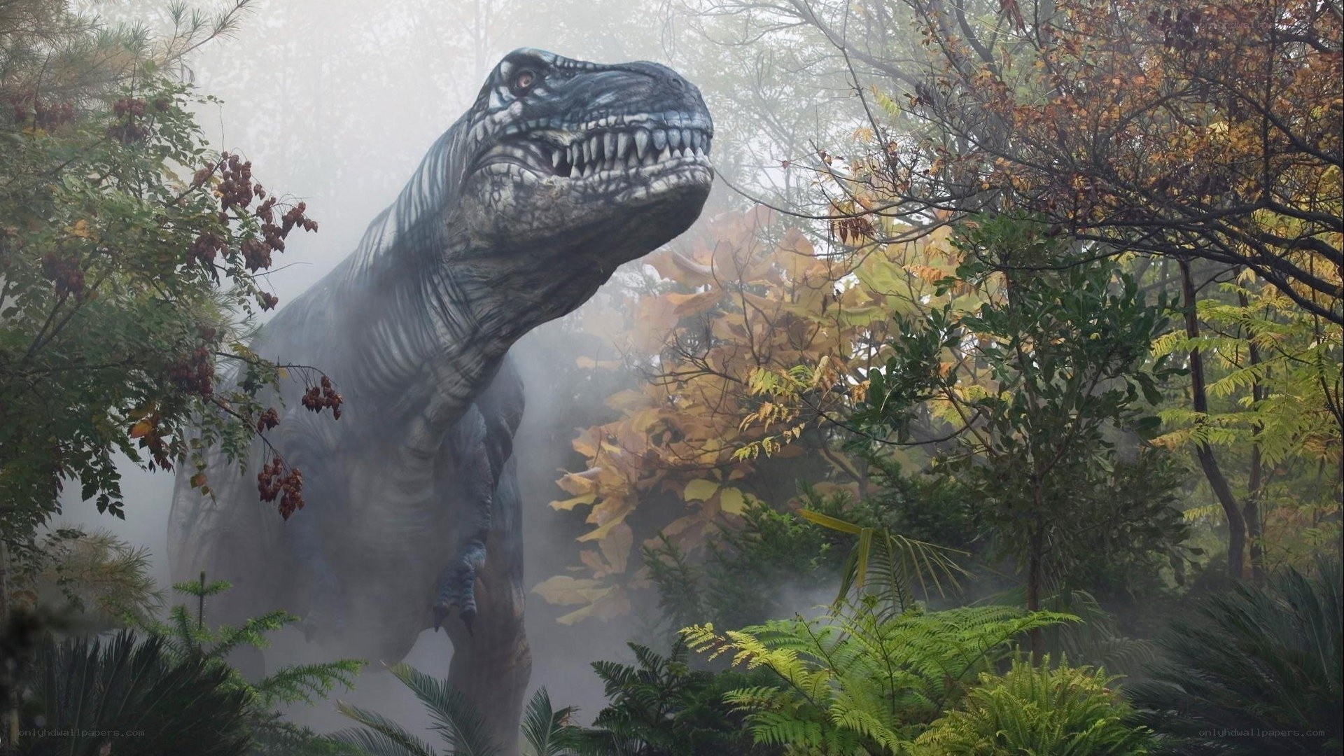 T-Rex in misty forest