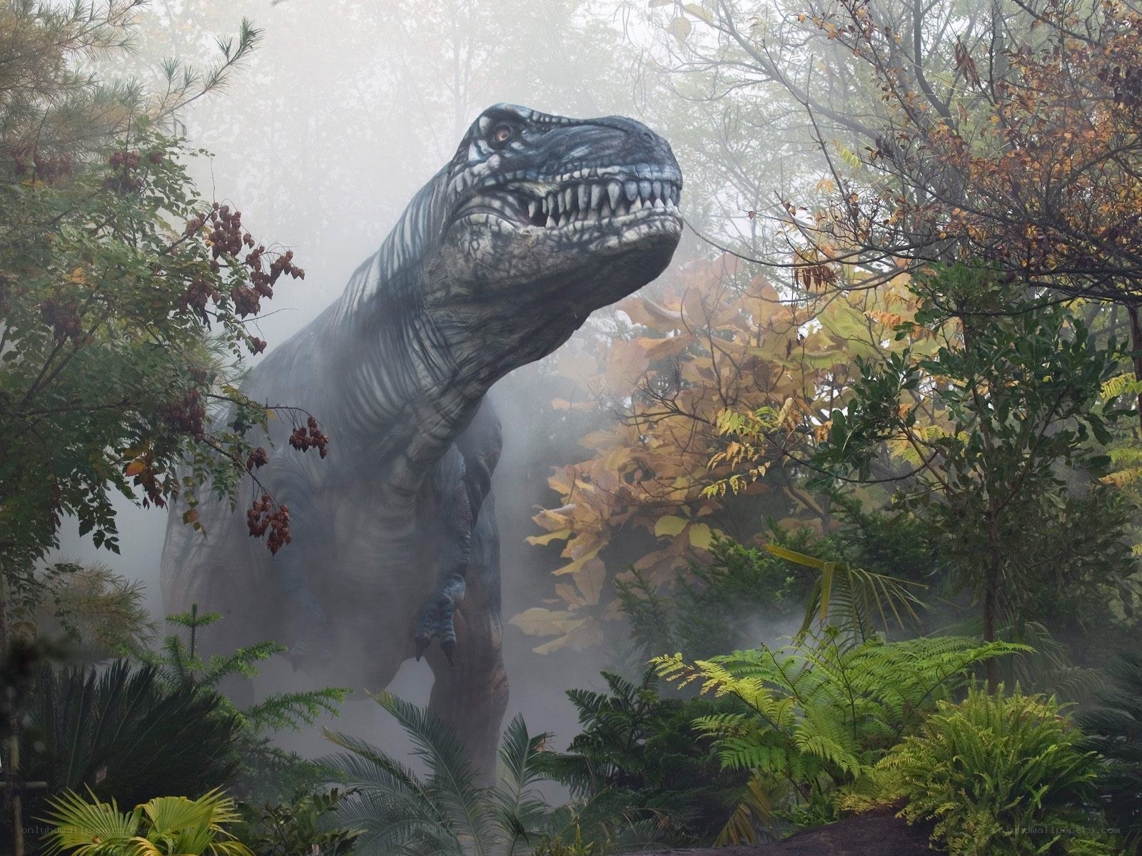T-Rex in misty forest