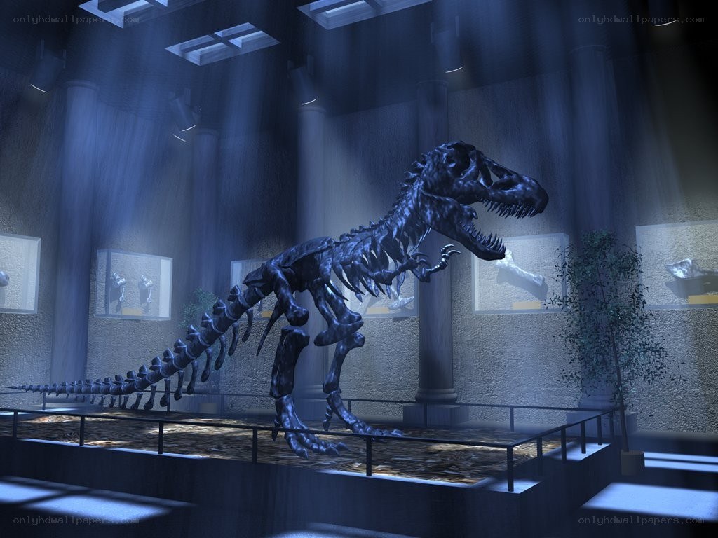 T-Rex skeleton in museum