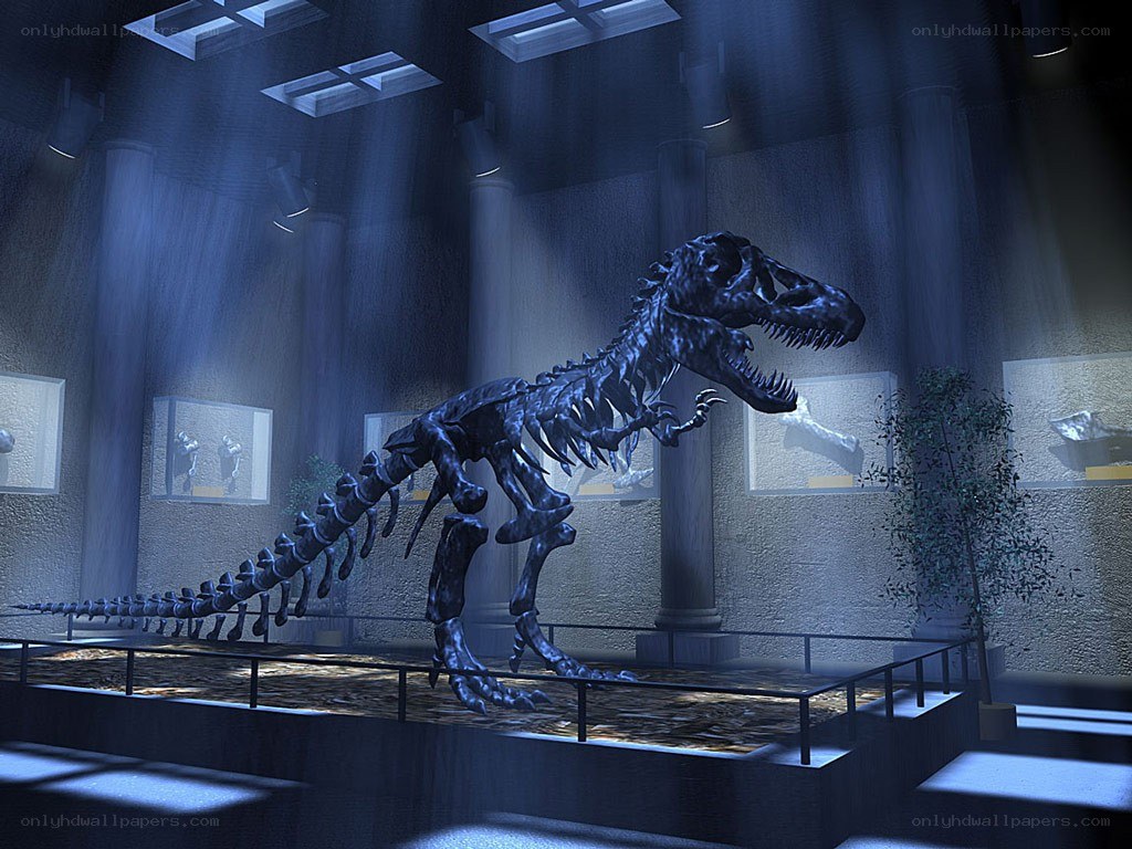 T-Rex skeleton in museum