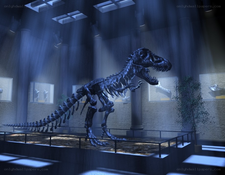 T-Rex skeleton in museum
