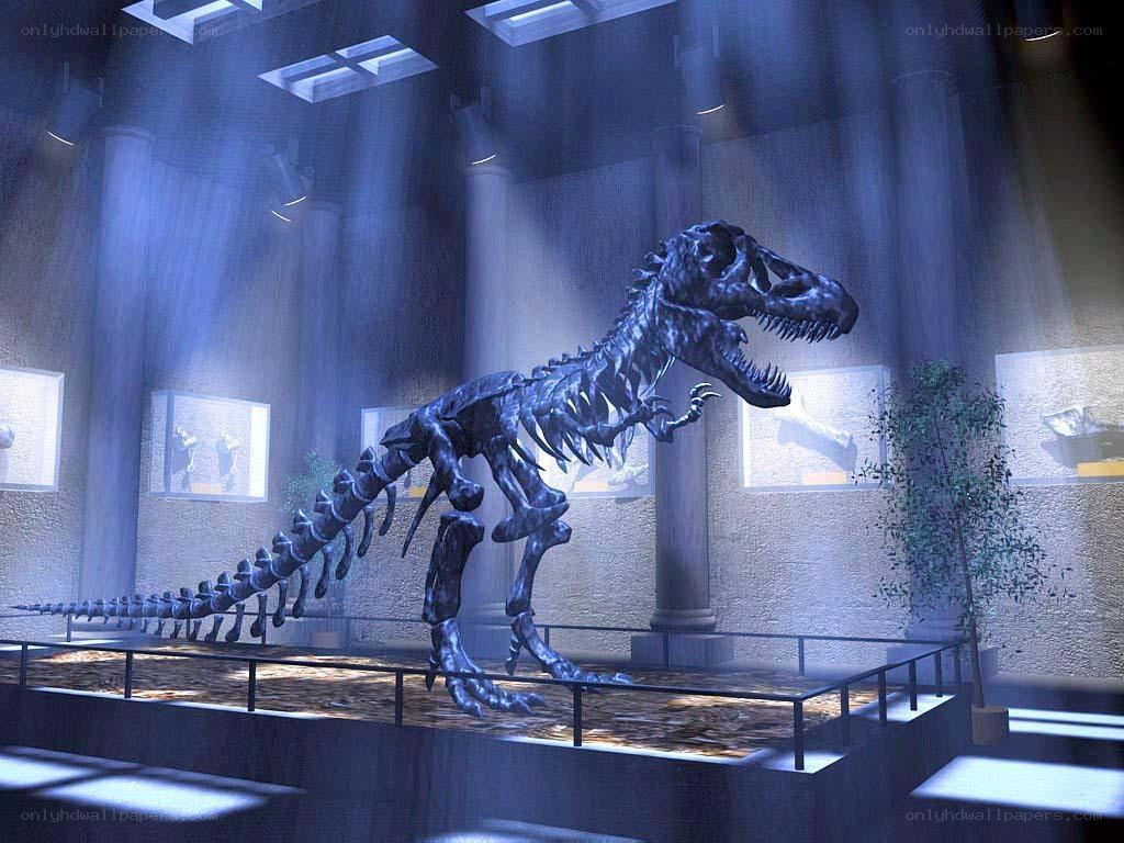 T-Rex skeleton in museum