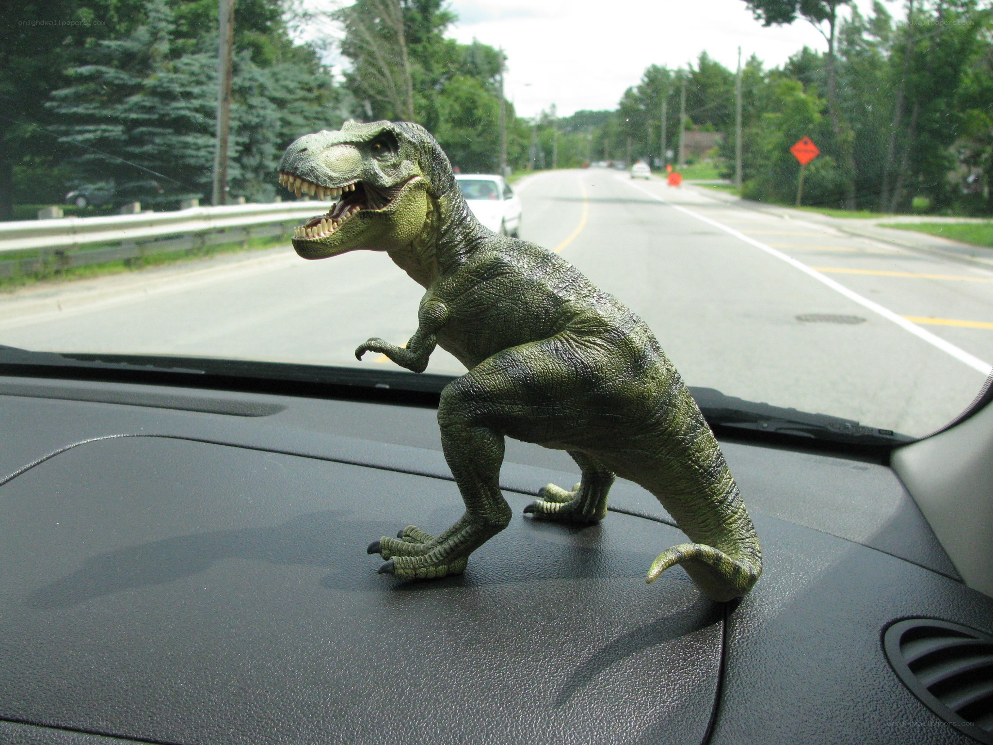 T-Rex toy on car dashboard