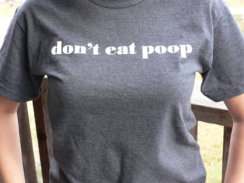 t-shirt with humorous message