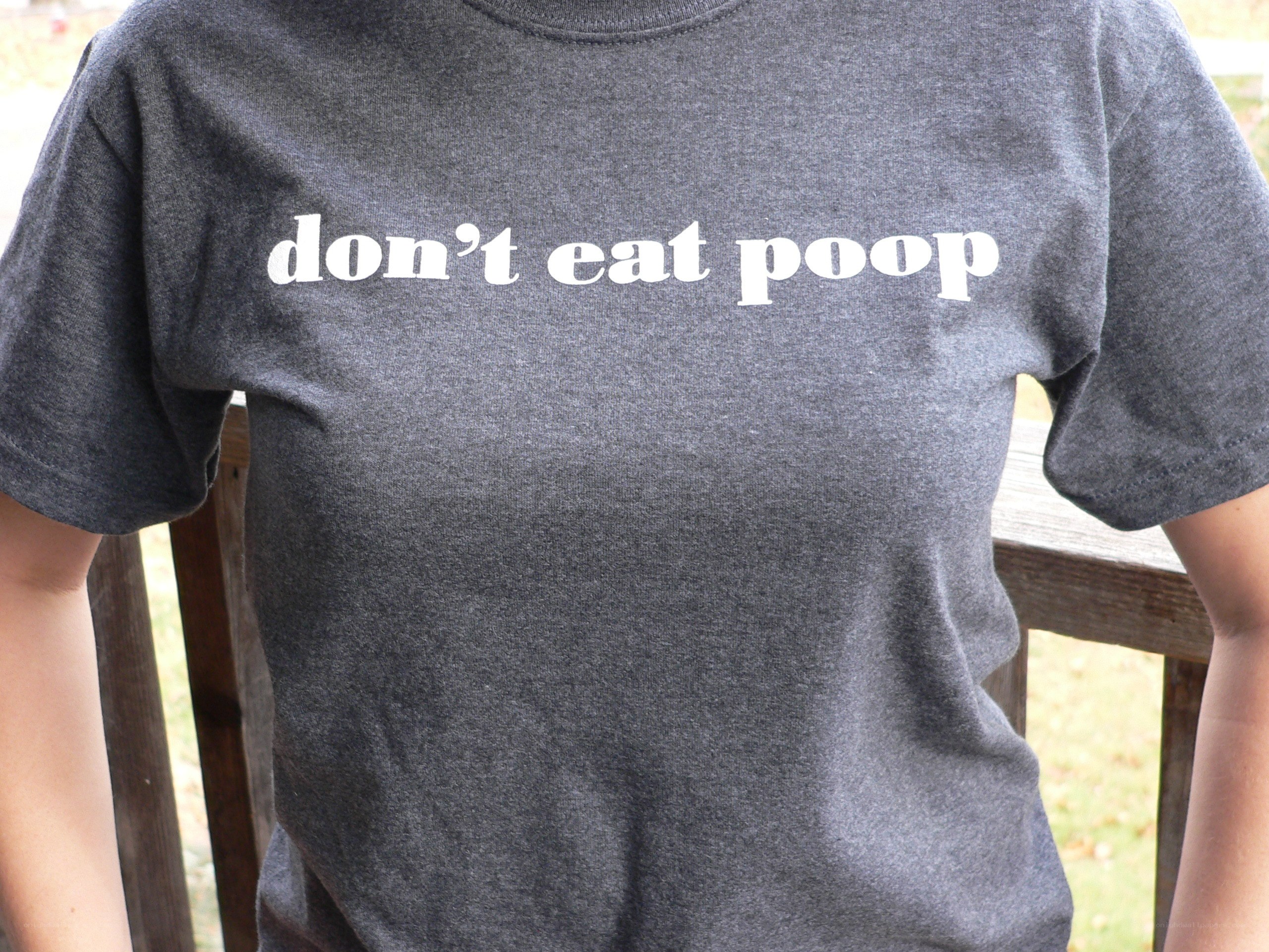 t-shirt with humorous message