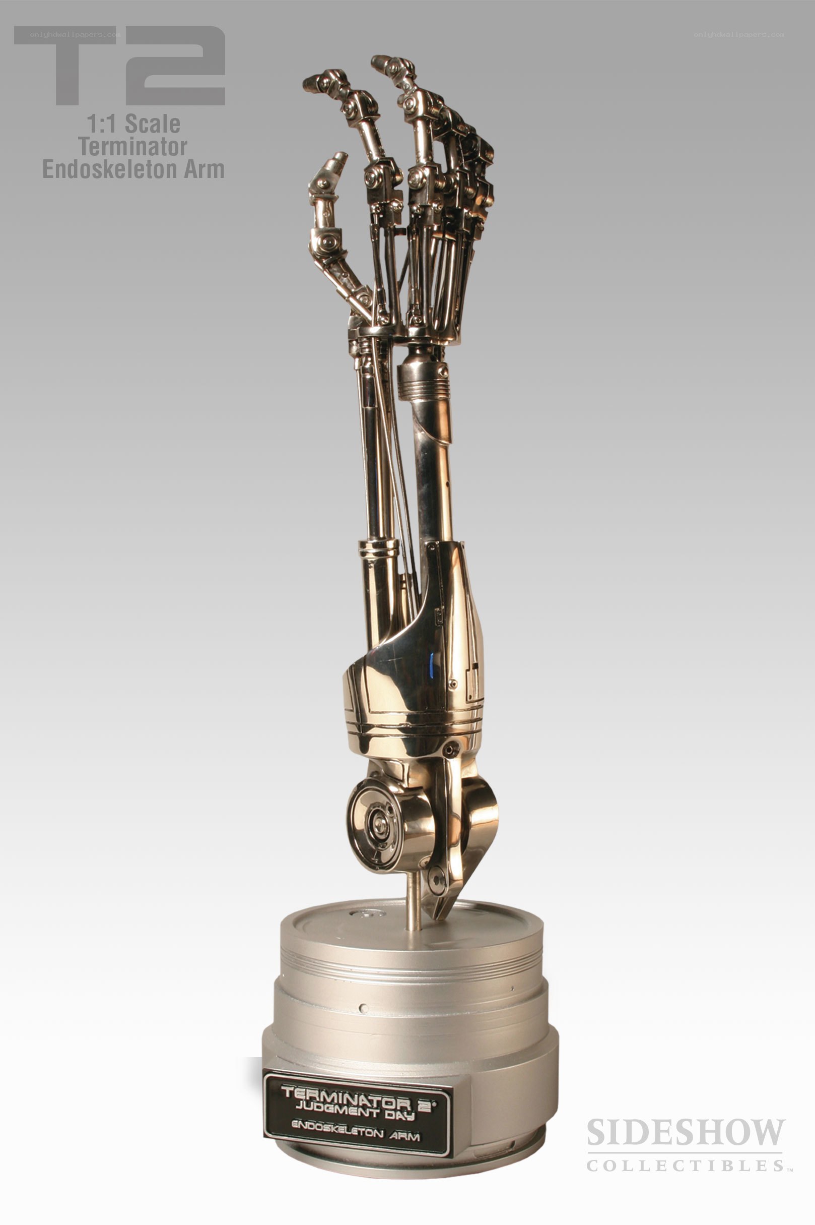 T2 Terminator Endoskeleton Arm