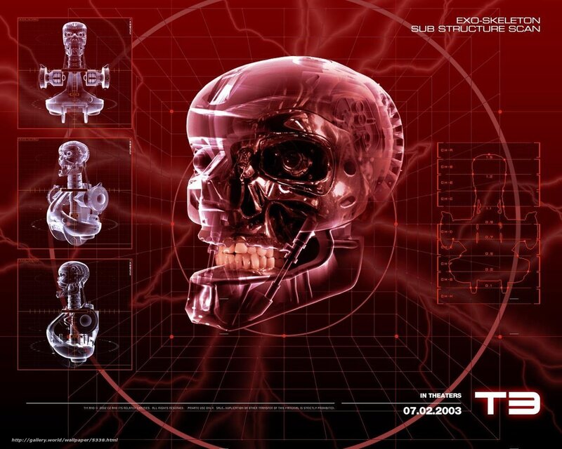 T3 Exo-Skeleton Scan