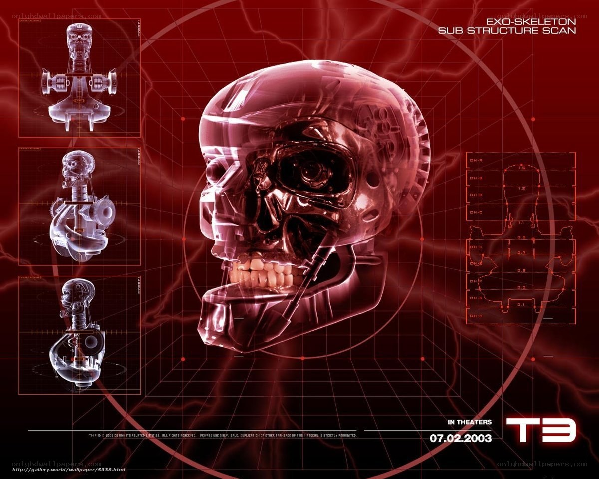 T3 Exo-Skeleton Scan