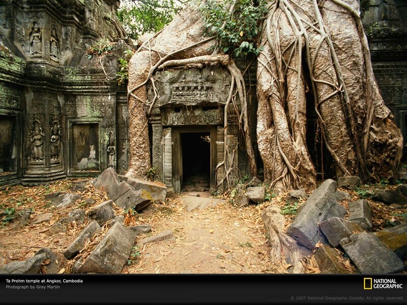 Ta Prohm temple at Angkor