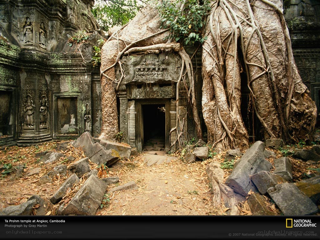 Ta Prohm temple at Angkor