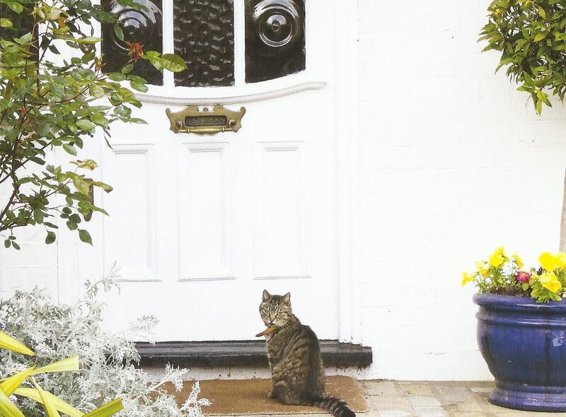 Tabby Cat at Door