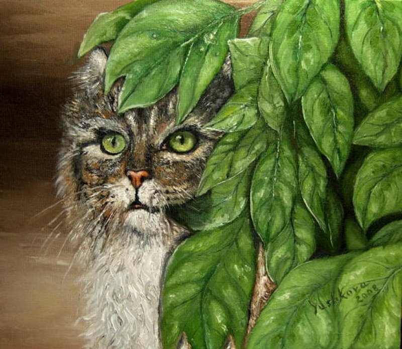 Tabby Cat Behind Leaves