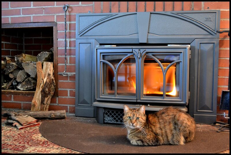 Tabby Cat by Fireplace