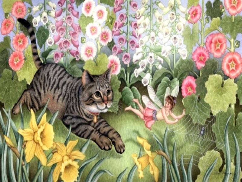 Tabby Cat Chasing Fairy