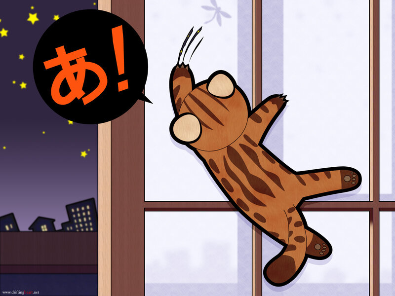 Tabby Cat Climbing Window