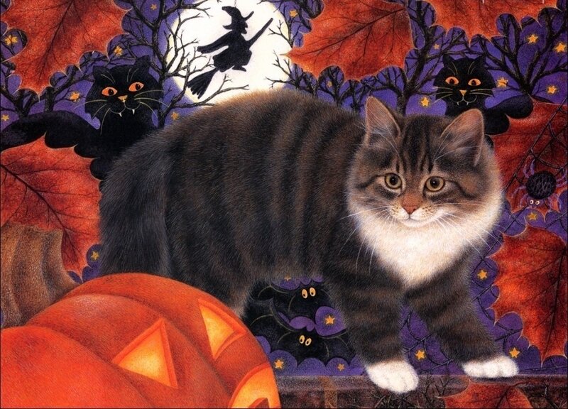 Tabby Cat in Autumn
