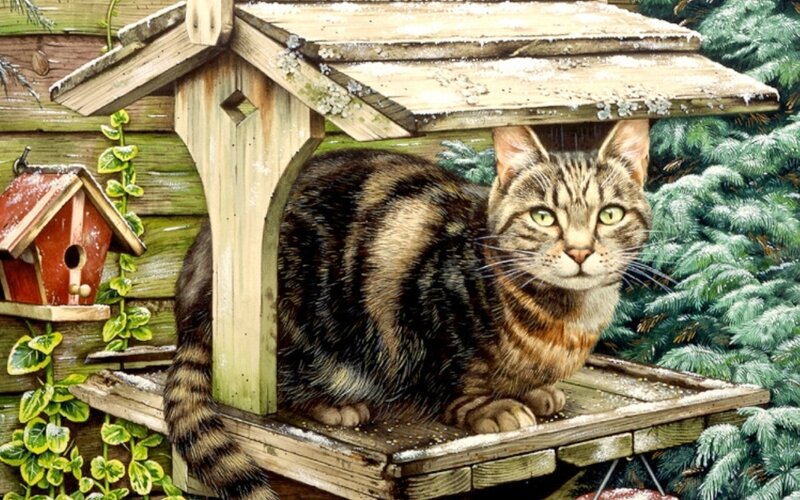 Tabby Cat in Birdhouse