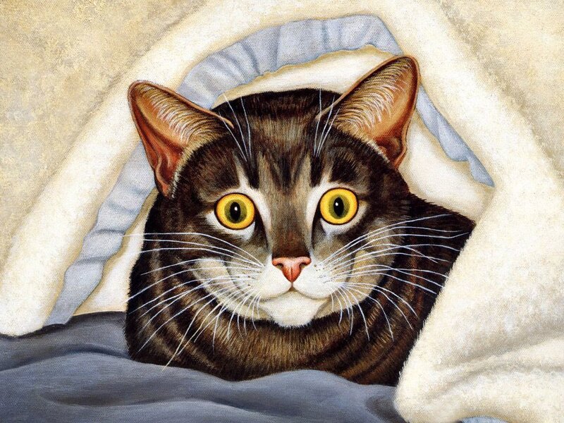 Tabby Cat in Blanket