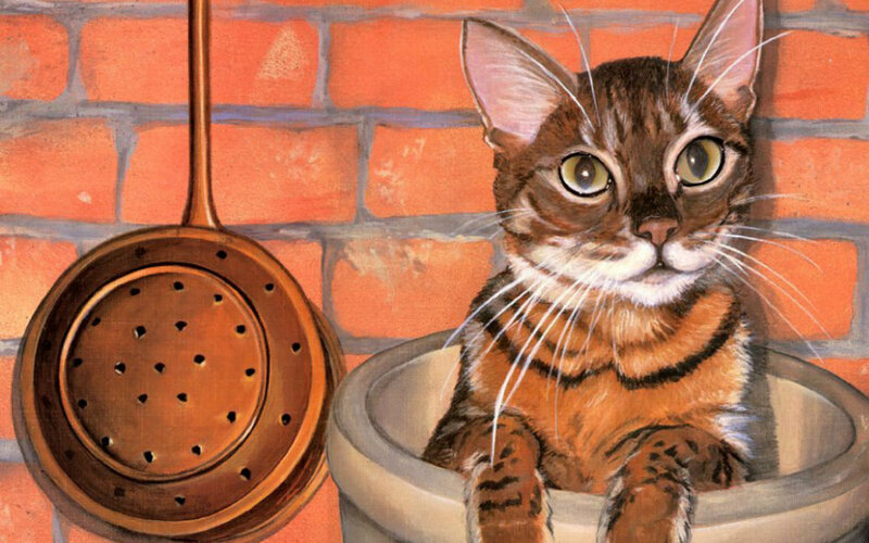 Tabby Cat in Bowl — Brown
