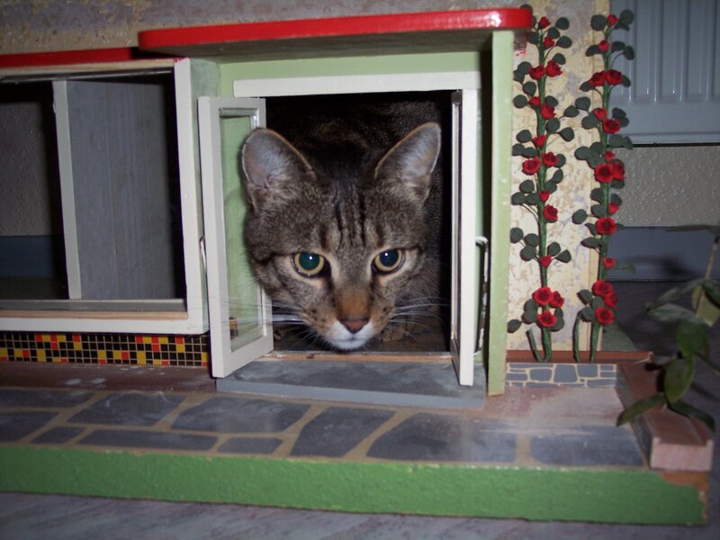 Tabby Cat in Dollhouse