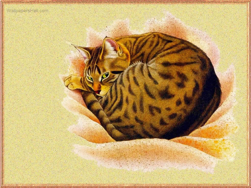 Tabby Cat in Flower