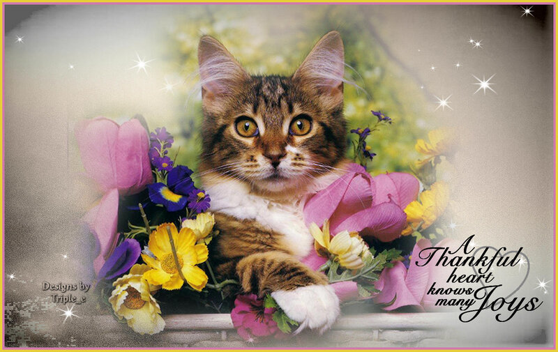 Tabby Cat in Flowers — Brown, Serene