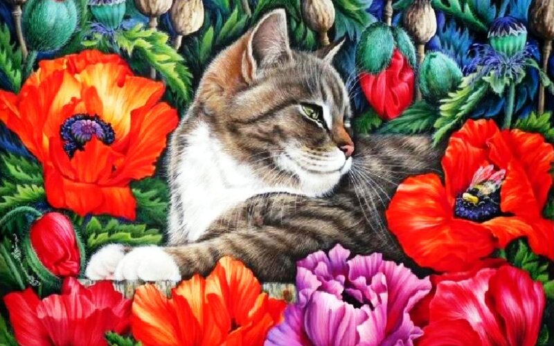 Tabby Cat in Flowers — Red, Serene, Afternoon