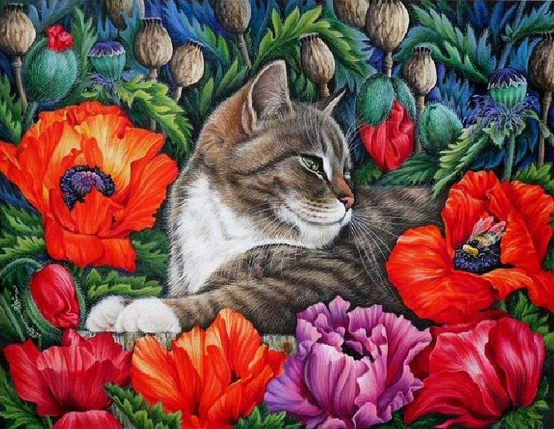 Tabby Cat in Flowers — Red, Serene