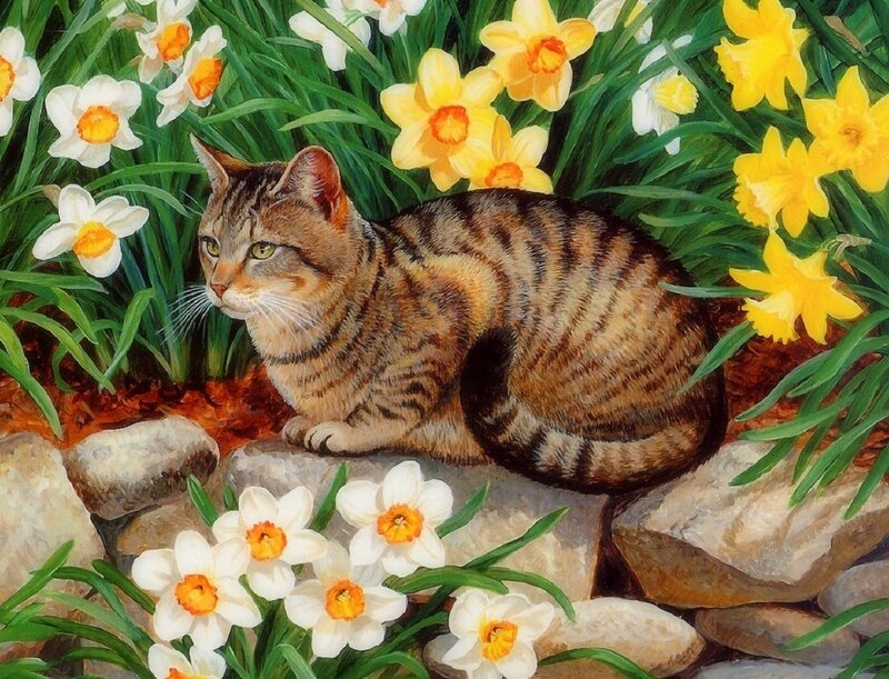 Tabby Cat in Flowers — Yellow, Serene, Spring
