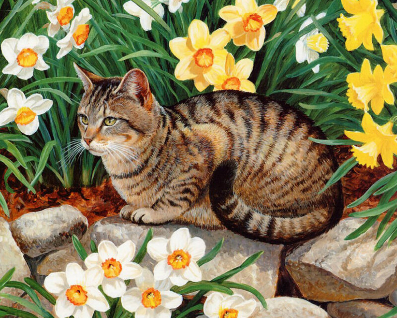 Tabby Cat in Flowers — Yellow