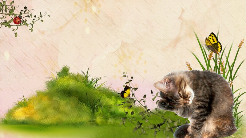 Tabby Cat in Garden — Green, Serene, Spring