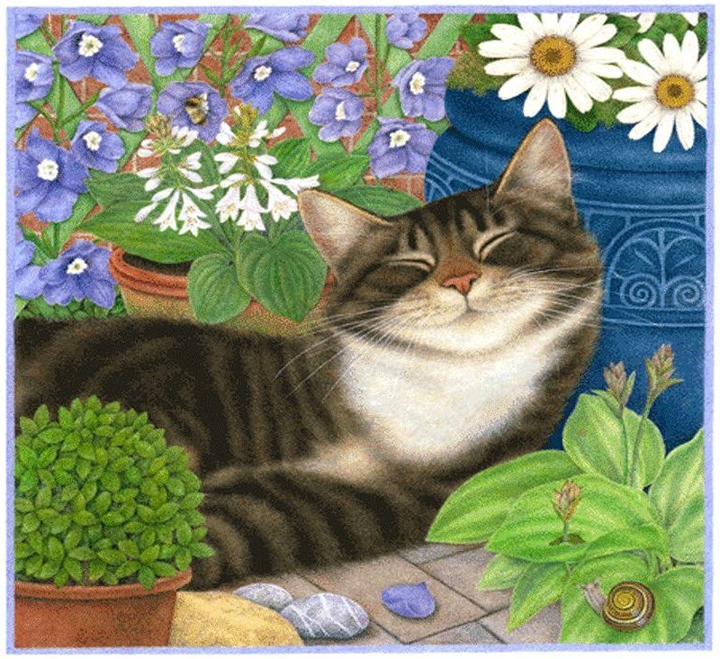Tabby Cat in Garden — Green