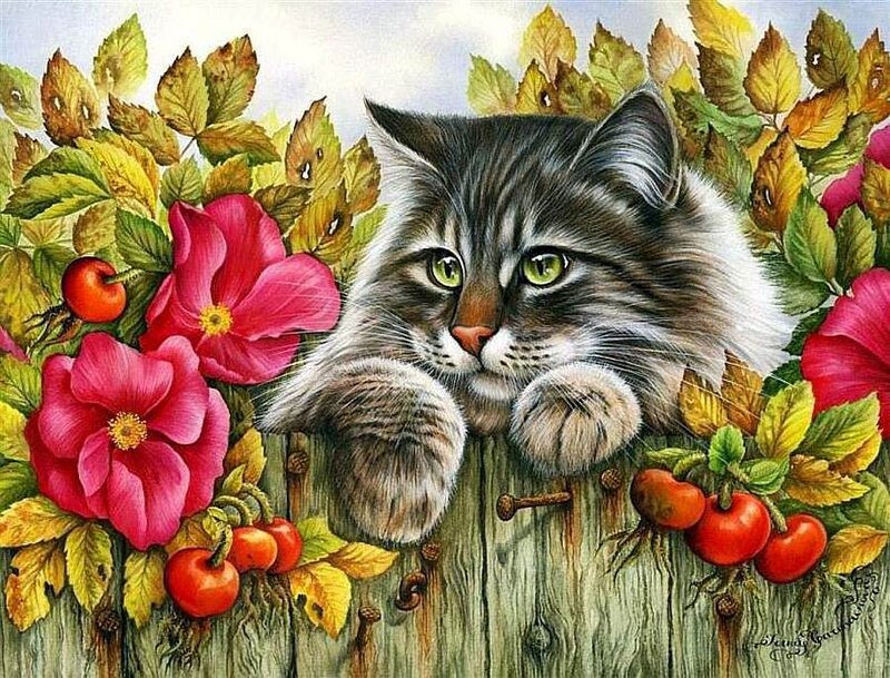 Tabby Cat in Garden — Pink