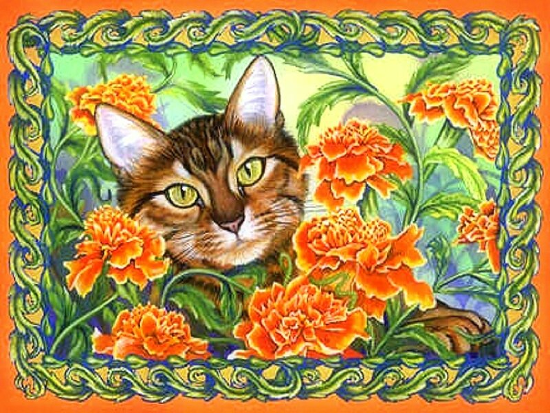 Tabby Cat in Marigolds