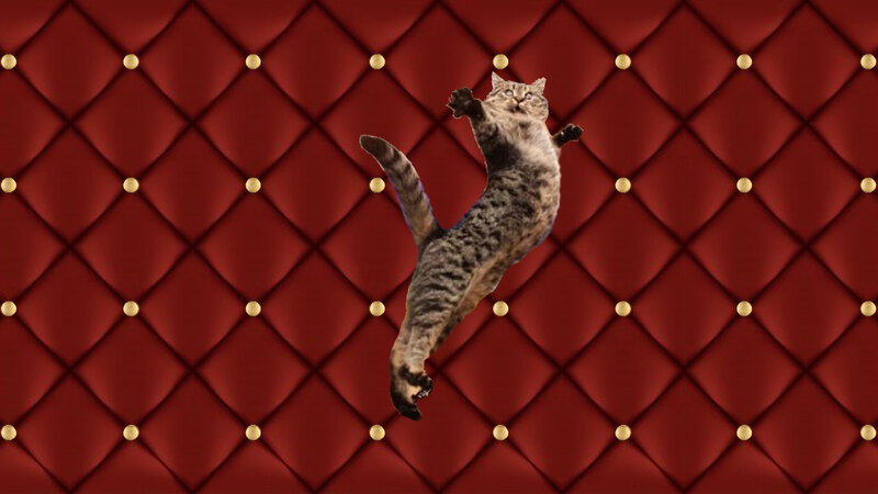 Tabby Cat in Mid-air — Red