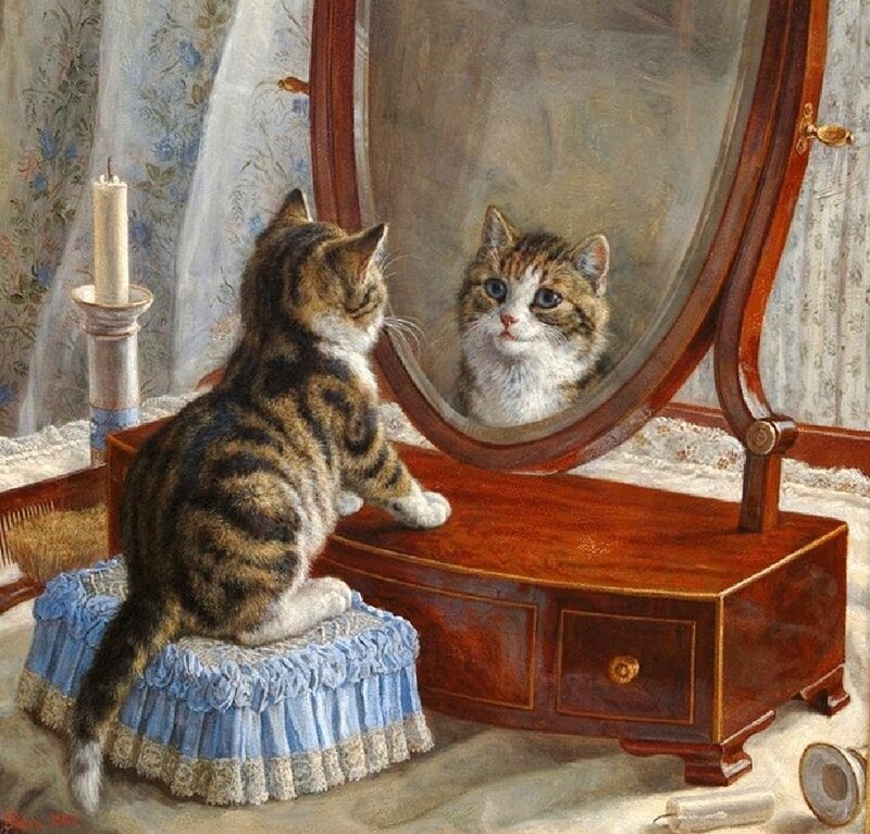 Tabby Cat in Mirror — Brown
