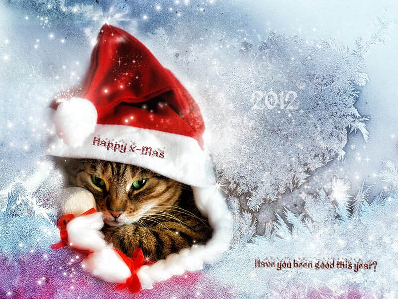 Tabby Cat in Santa Hat — Red, Festive, Winter, Digital Art