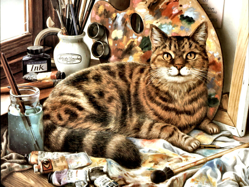 Tabby Cat in Studio