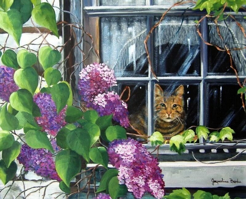 Tabby Cat in Window — Purple